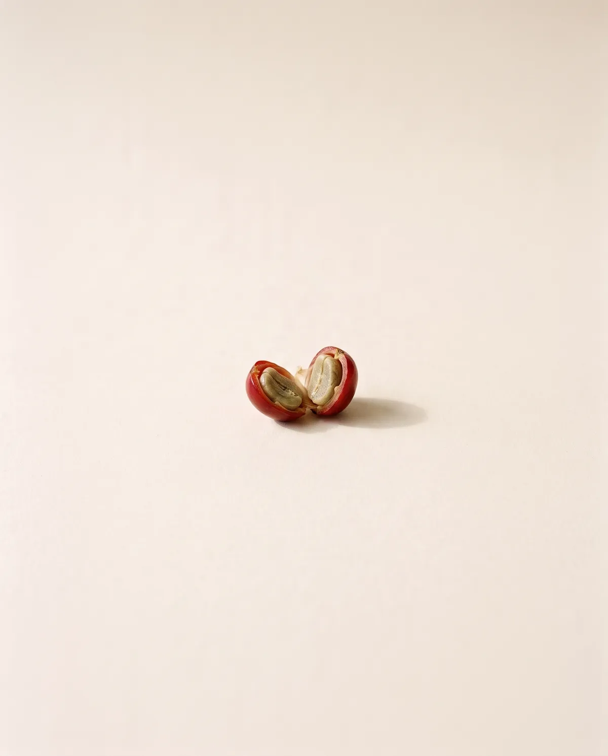 Seed